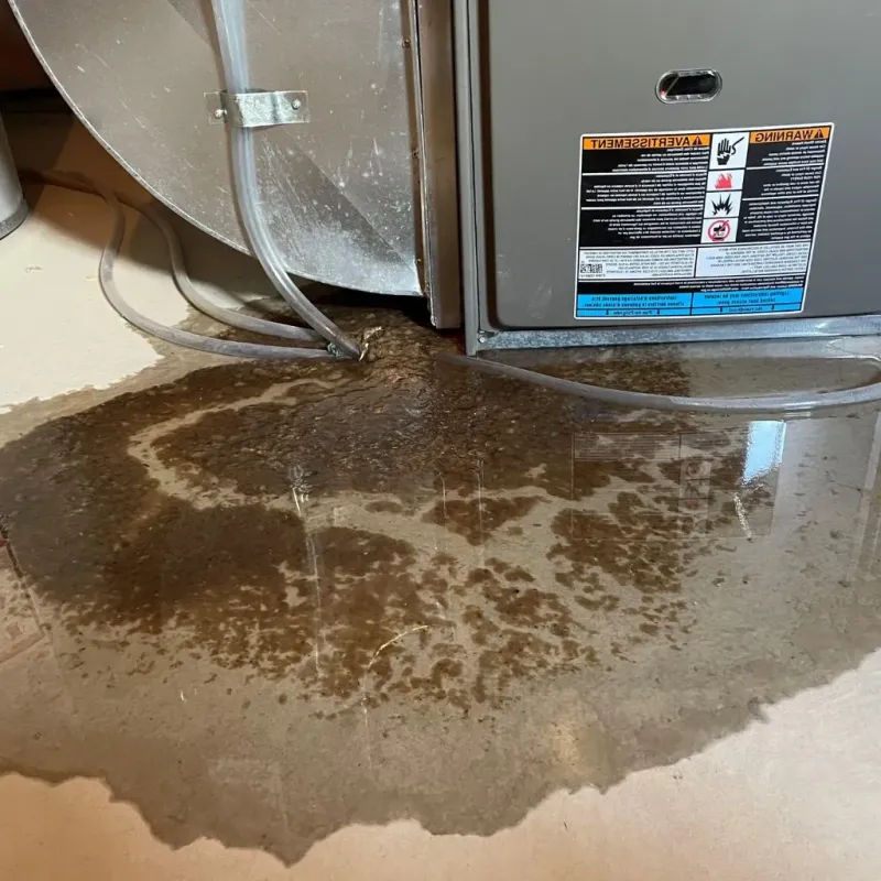 Pipe Burst and Leak Restoration in Owingsville, KY