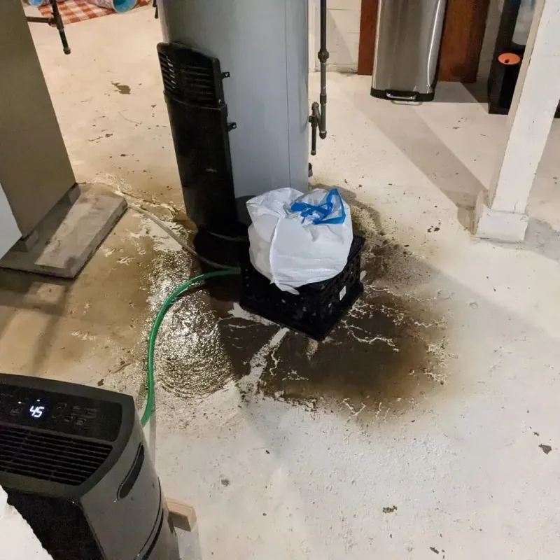 Sewage Backup Cleanup Service in Owingsville, KY